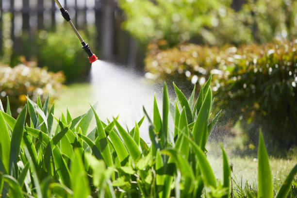 24/7 Emergency Ant Control experts in Hamilton City, CA