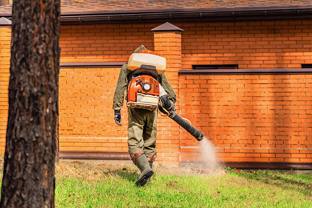 Trusted Ant Control service in Hamilton City, CA - Nex Pest Control